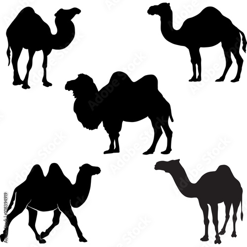 camel silhouette vector clipart. EPS 10