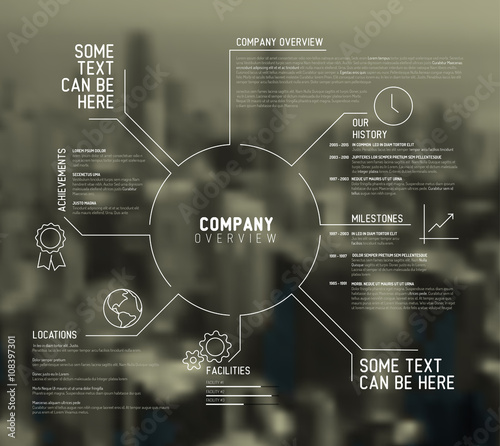 Vector Company infographic overview design template