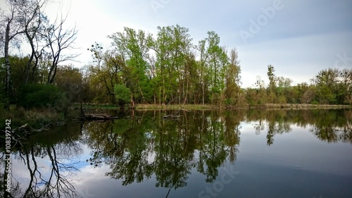 Bäume spiegeln sich auf Wasseroberfläche von See
