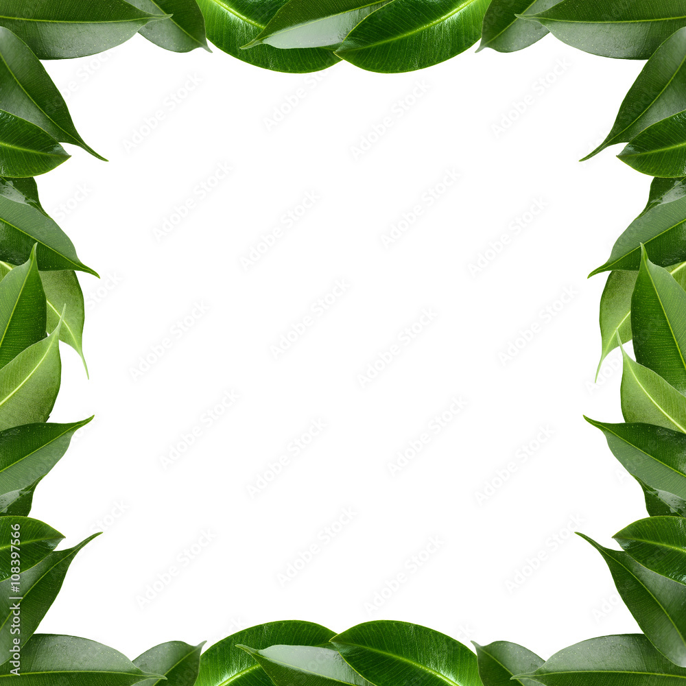 Frame made of fresh leaves isolated on white Frame made of fresh leaves isolated on white