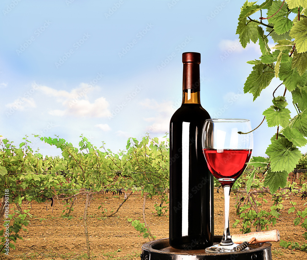 Red wine in glass and bottle on nature background