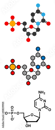Deoxycytidine monophosphate (dCMP) nucleotide molecule. 
