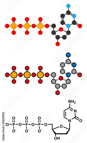 Deoxycytidine triphosphate (dCTP) nucleotide molecule. 