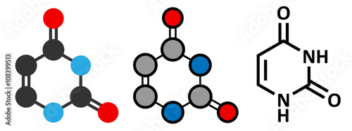 Uracil (U) nucleobase molecule. Present in ribonucleic acid (RNA)