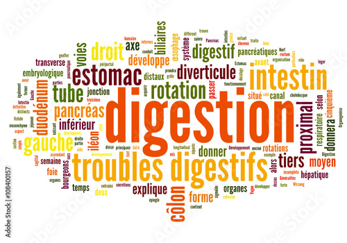 Digestion (alimentation, troubles digestifs)