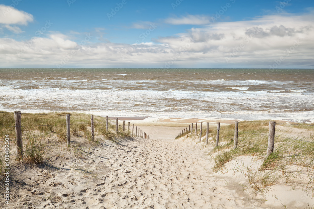 Fototapeta premium piasek ścieżka do plaży morskiej w słoneczny dzień