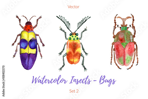Set of hand painted watercolorbugs, vector.