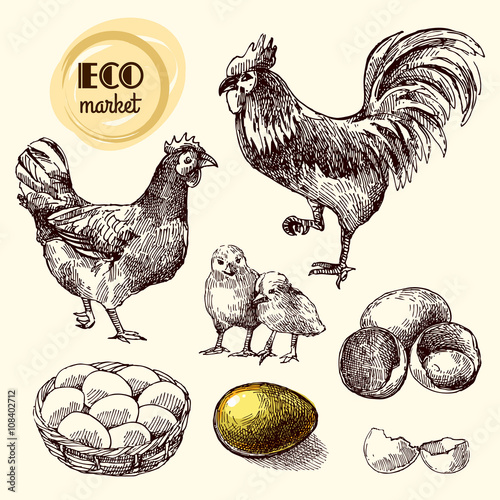 eco farm chicken