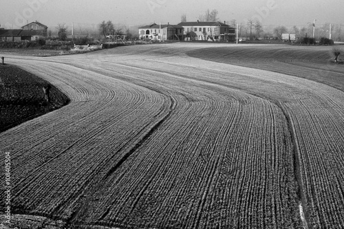 Obraz na płótnie Campi Con Brina 2 1982
