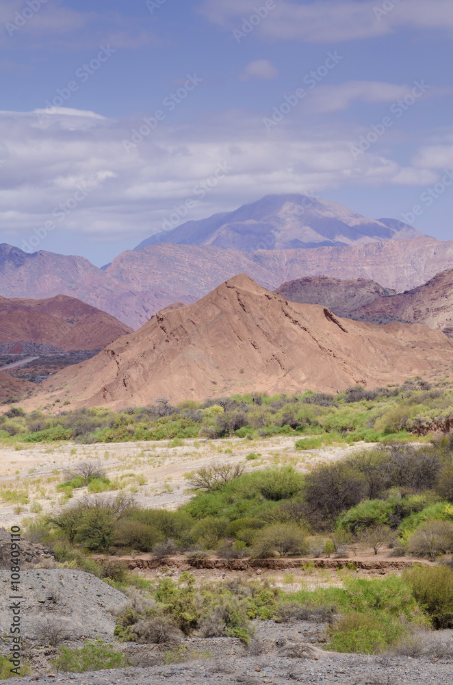 Andean landscape