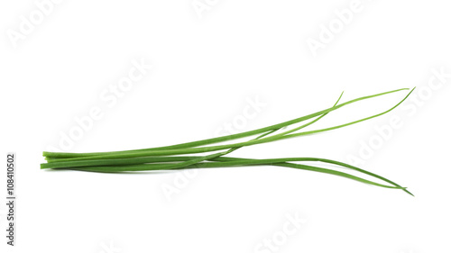 Green onion scallions isolated