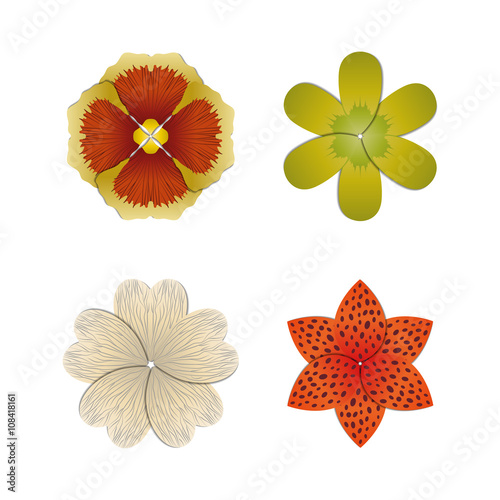 Flower bud set, vector illustration