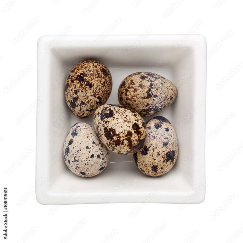 Obraz premium Quail egg