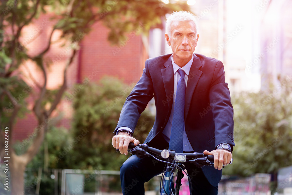 Fototapeta premium Successful businessman riding bicycle
