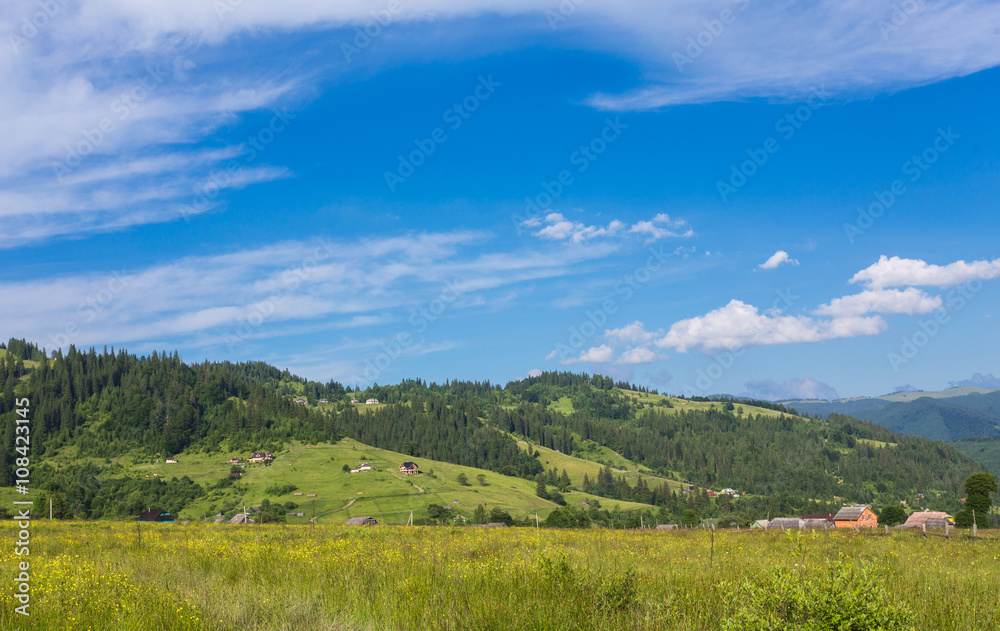 Fototapeta premium Idyllic landscape in the Alps with fresh green meadows and blooming flowers and snow-capped mountain tops in the background