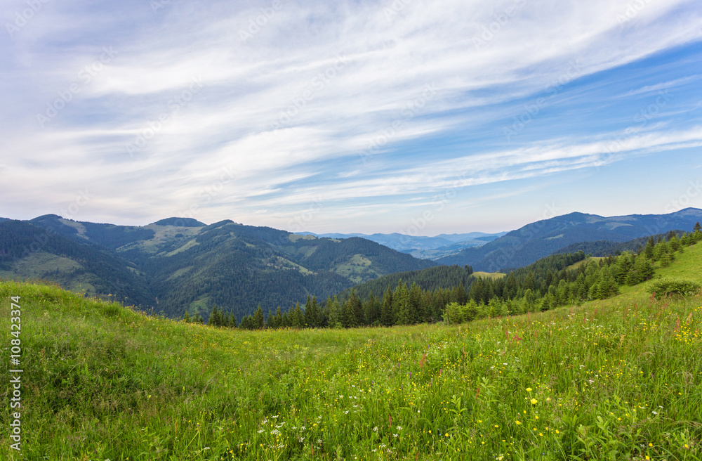 Fototapeta premium Summer landscape in mountains and the dark blue sky with clouds