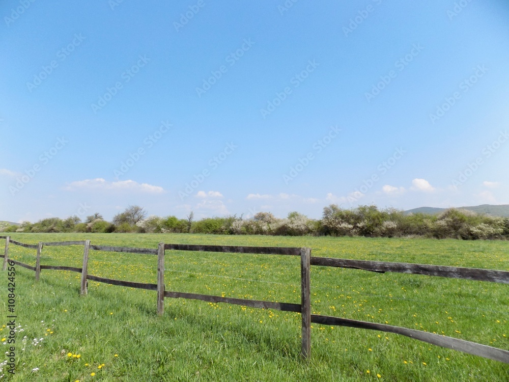 Wooden fence on meadow, forest and sky