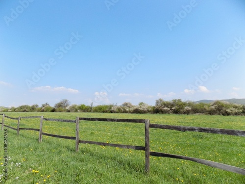 Wooden fence on meadow, forest and sky