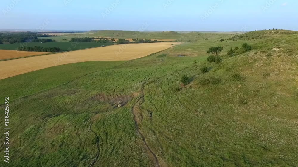 An aerial view flying by a green hill in a farm pasture. A wheat field is visible in the distance. Filmed on a family farm in Kansas, USA. An aerial view flying by a green hill in a farm pasture. A wheat field is visible in the distance. Filmed on a family farm in Kansas, USA.