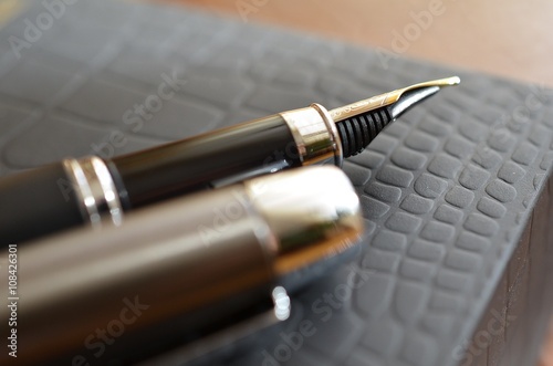 pen to write on leather background