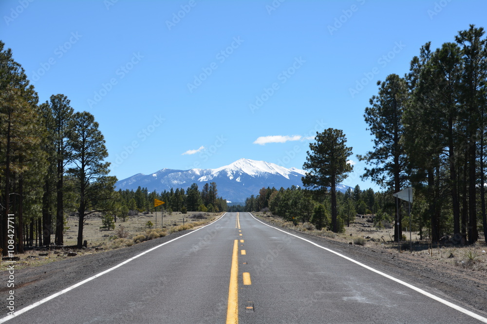 Fototapeta premium Landschaft in Amerika