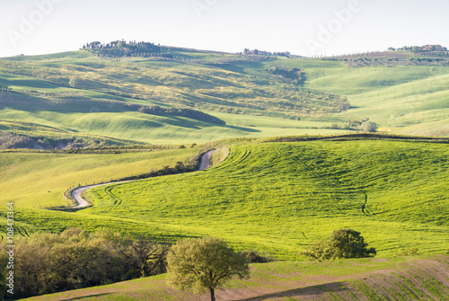 Beautiful countryside of Tuscany © jovannig