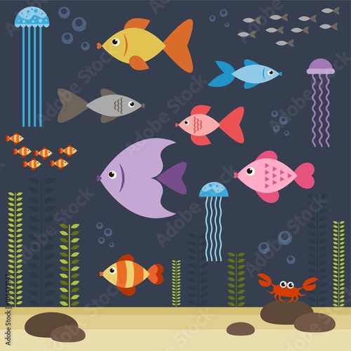 underwater world with fishes