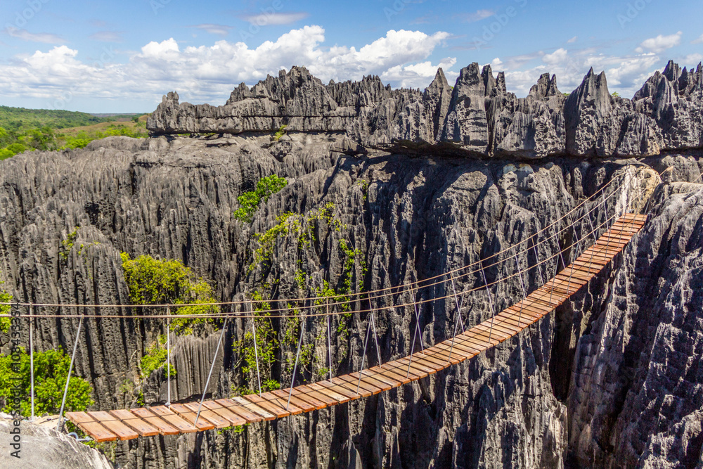 Fototapeta premium Pont de singe sur les tsingy de Bemahara