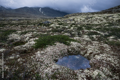 water hole in rondane national park norway bad weather rain  photo