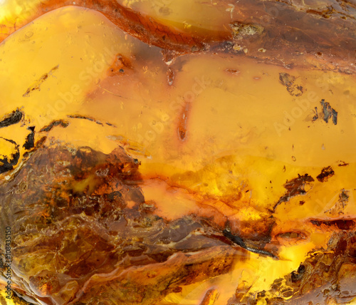 Baltic amber, resin segments,background or texture