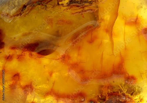 Foto Baltic amber, resin segments,background or texture