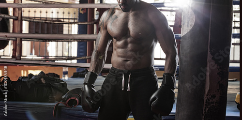 Shirtless Muscular Boxer With Punching Bag In Gym © romanolebedev
