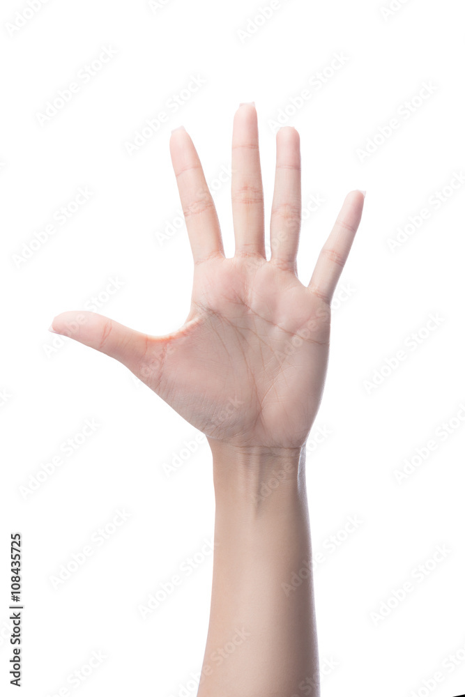 Counting woman hands five, number 5, isolated on white with clipping path Counting woman hands five, number 5, isolated on white with clipping path