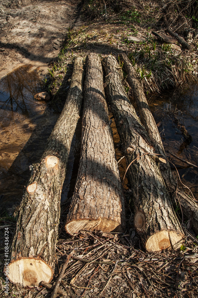 Bridge of timber in the wood. Bridge of timber in the wood.