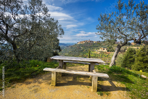 Ancient town on a hill with olive trees, Castelmuzio. © Jarek Pawlak