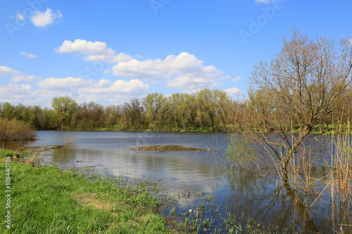 spring scene on lake