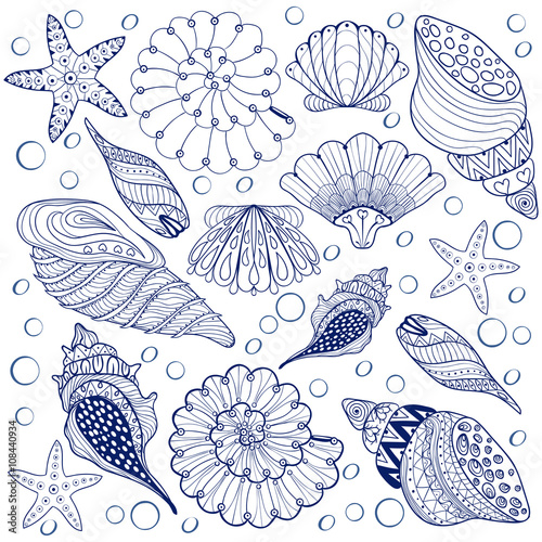 Vector set Shells, zentangle blue seashells for adult anti stres