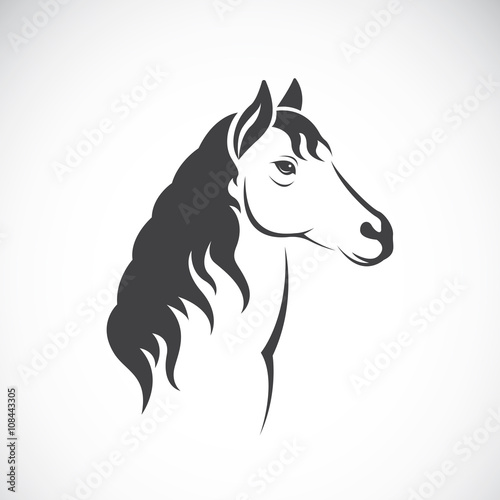 Vector image of an horse haed design on white background