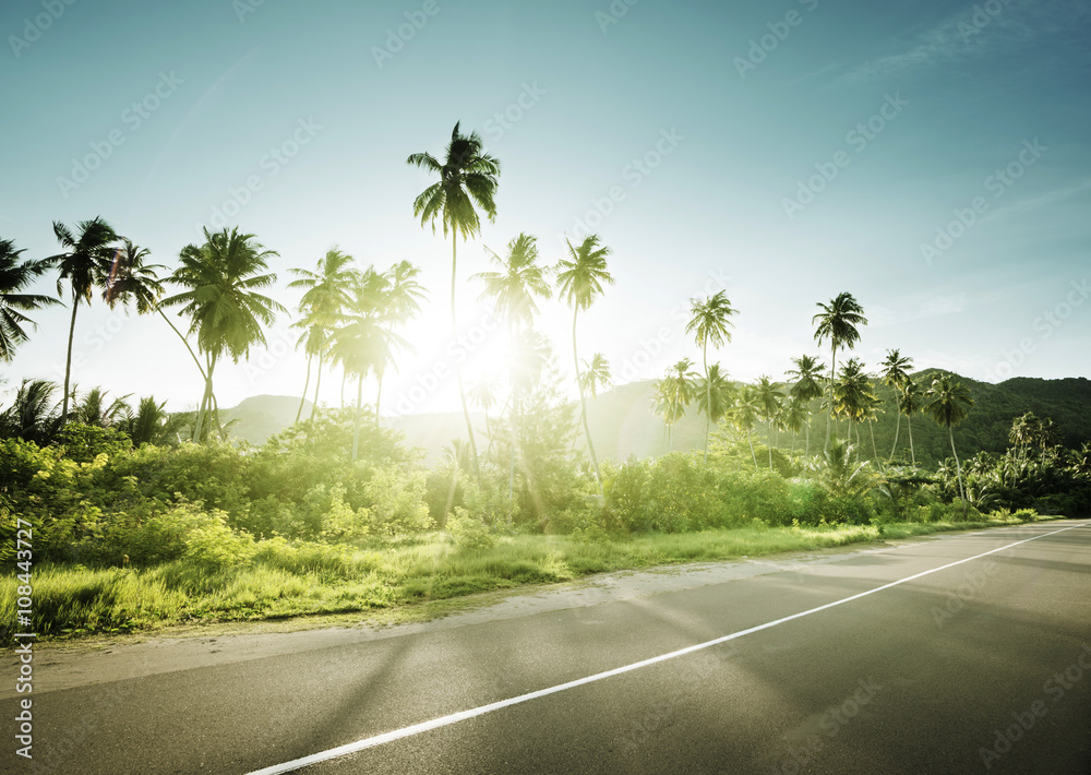 Fototapeta premium empty road in jungle of Seychelles islands