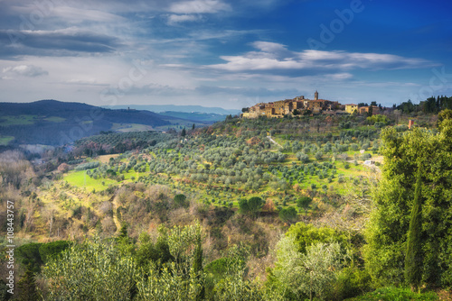 Ancient town on a hill with olive trees, Castelmuzio.