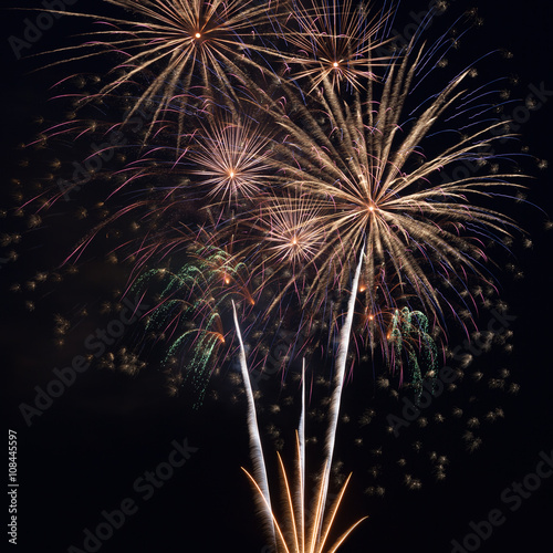 Fireworks in the night sky