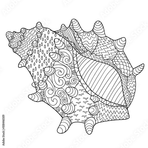 Seashell with high details. 
