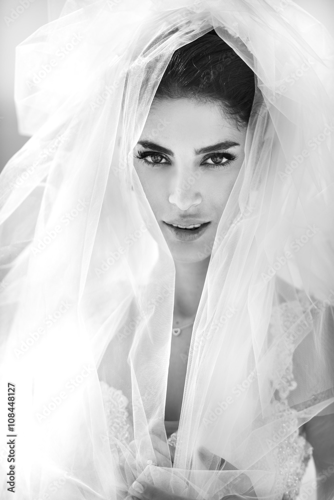 Portrait of beautiful luxury bride b&w Portrait of beautiful luxury bride b&w