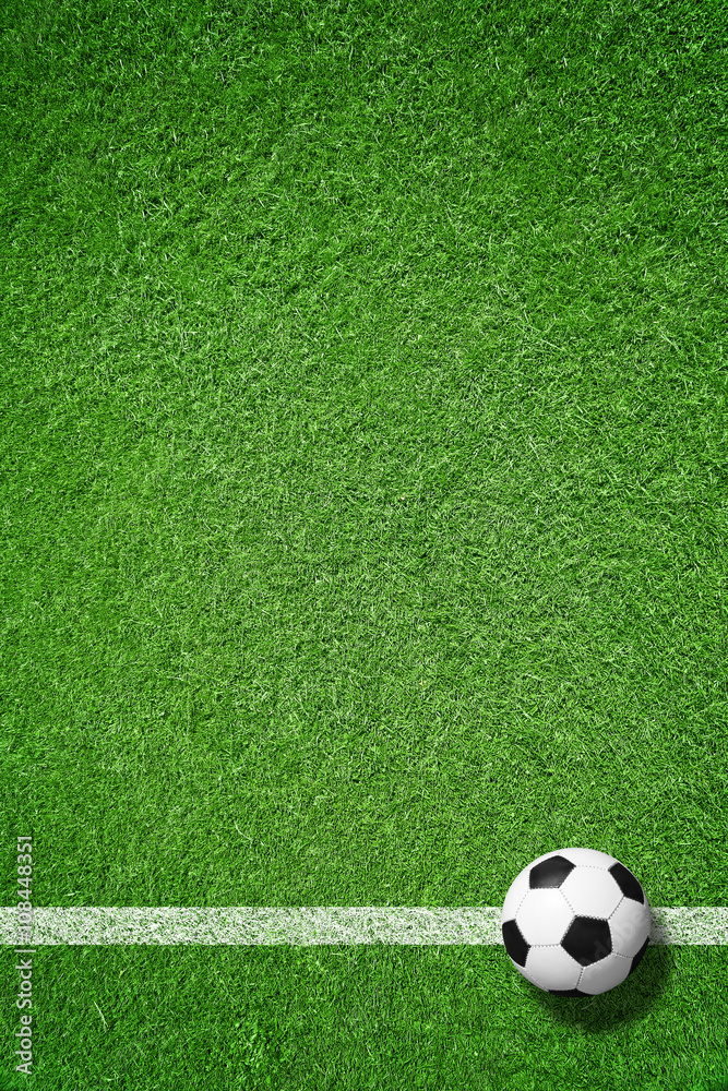 Fototapeta Piłka nożna na trawniku