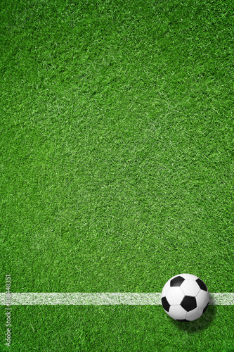 Fußball auf Rasen © Coloures-Pic