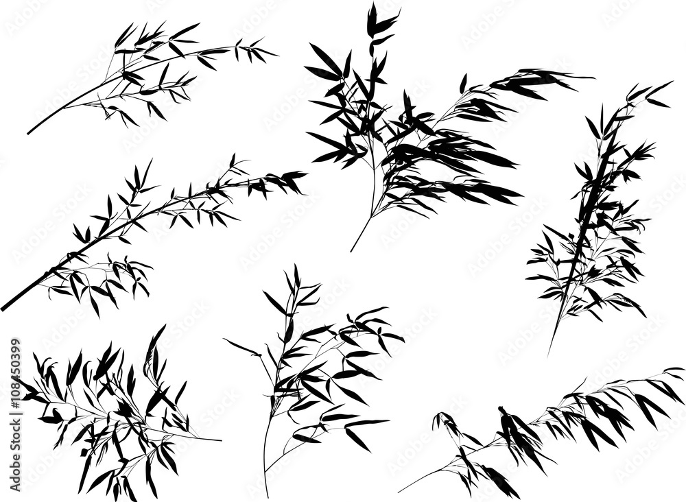 Obraz premium seven bamboo black branches set illustration