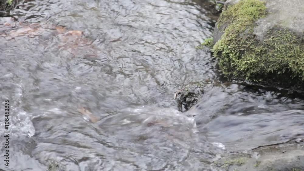 Water flowing through stones in riverbed Water flowing through stones in riverbed