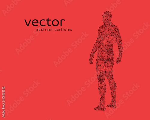 Vector illustration of human body