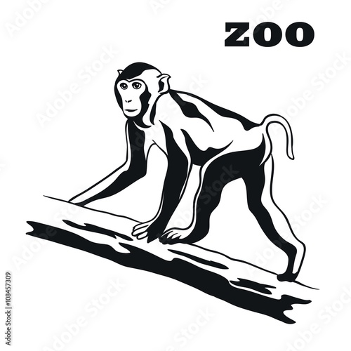 black monkey mascot