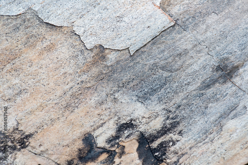 Naklejka premium wood texture 3958